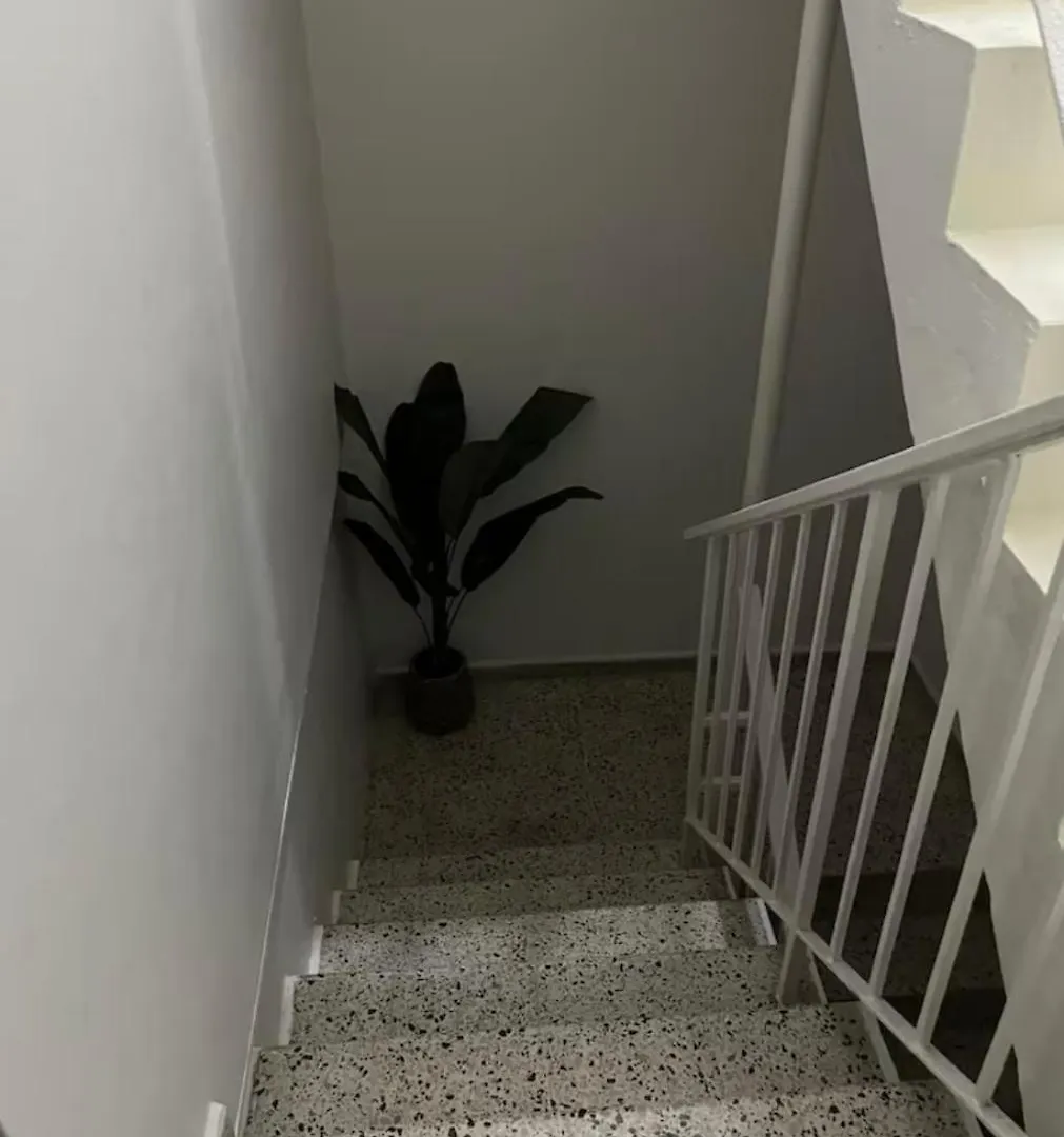 Shalex House 2 Apartment Carolina