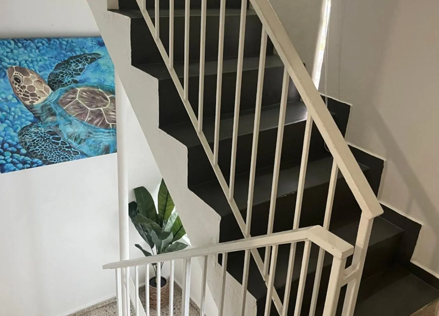 شقة Shalex House 2 كارولينا