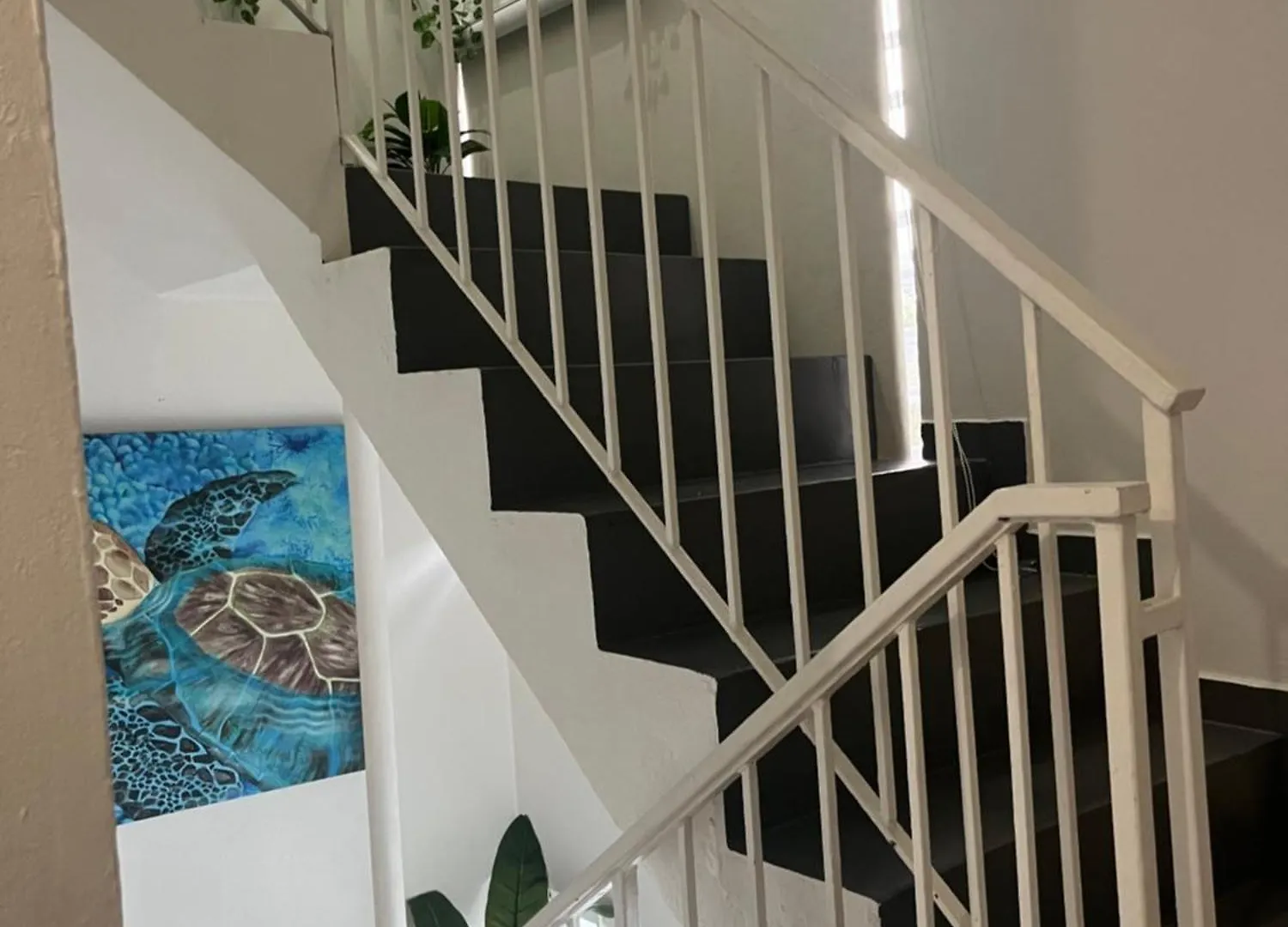 شقة Shalex House 2 كارولينا